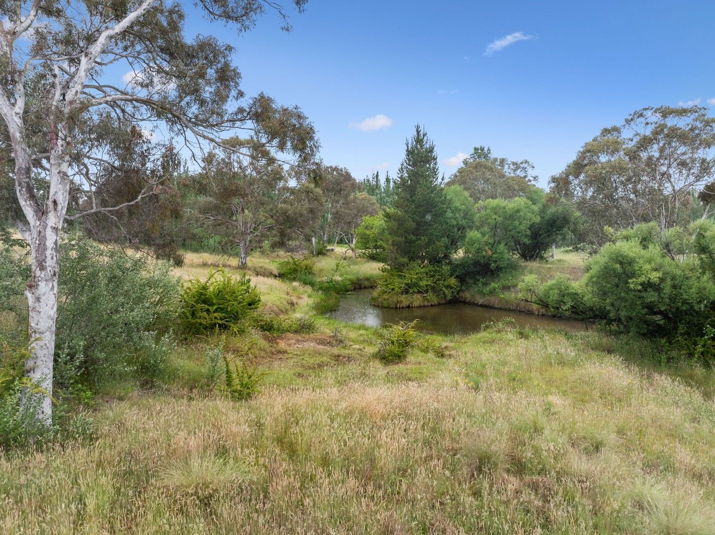 Vacant land in 