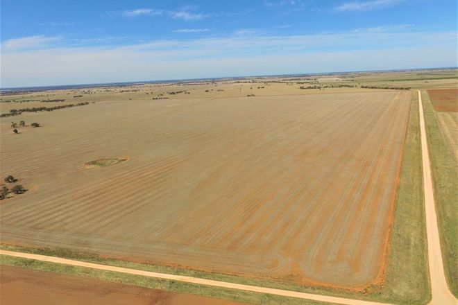 Picture of Old Charlton-Boort Road, WYCHITELLA NORTH VIC 3525