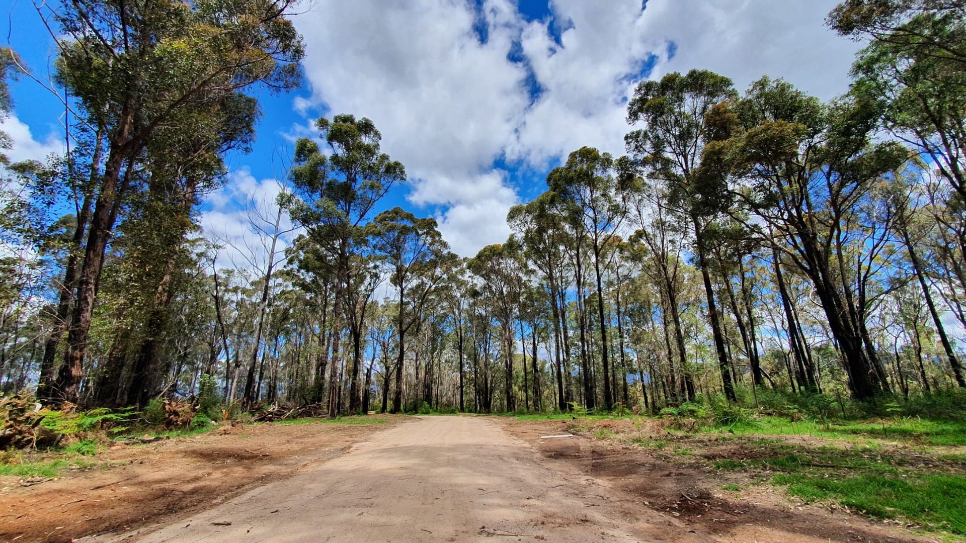 Lot D/650 Yankees Gap Road, Bemboka NSW 2550, Image 1