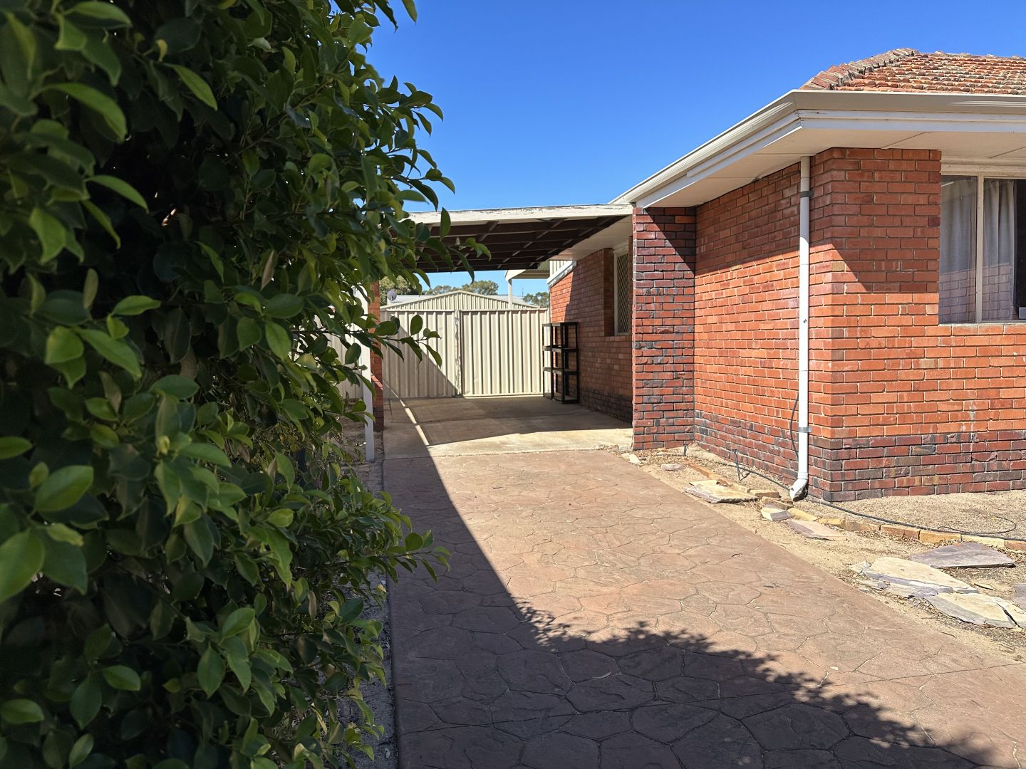 67 Adam Street, Katanning WA 6317, Image 1