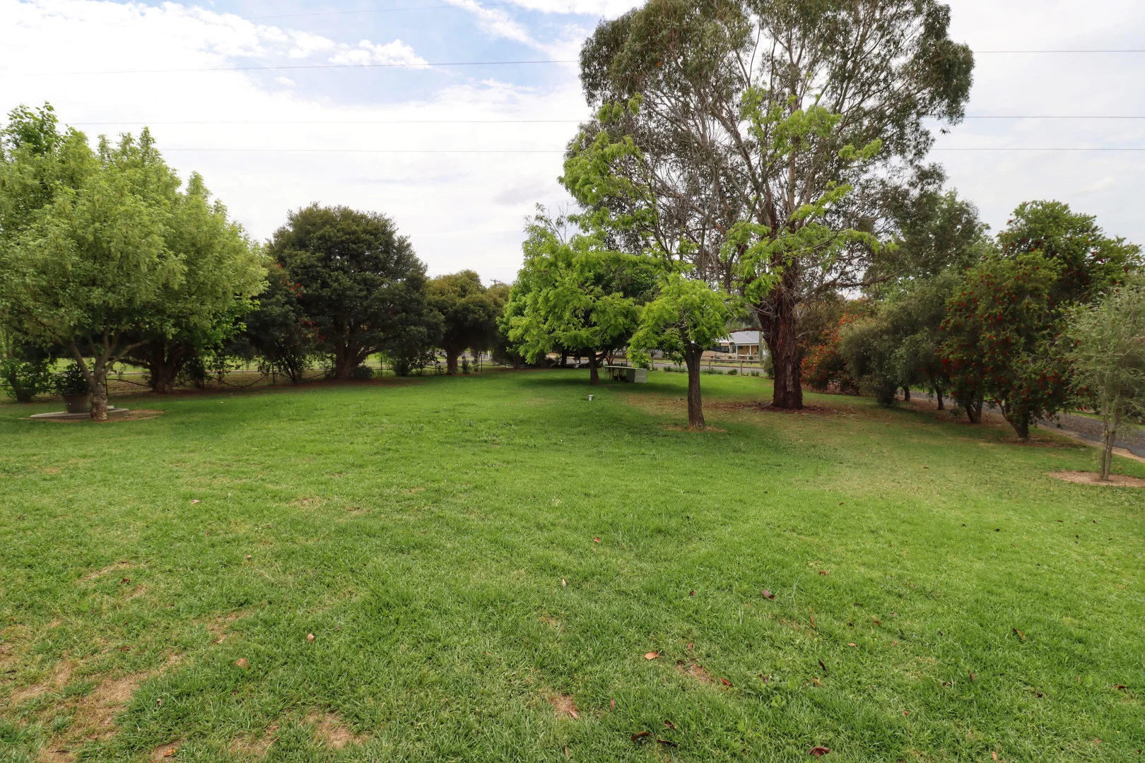 Image 20