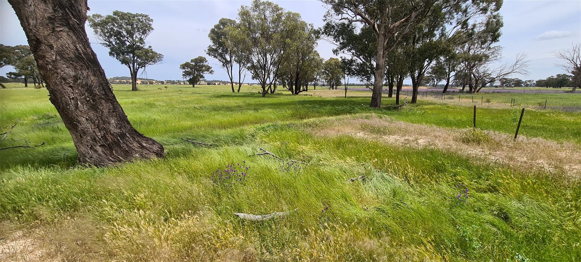 Lot 283/91 Old Wallendbeen Rd, Stockinbingal NSW 2725 Rural Lifestyle Property for Sale