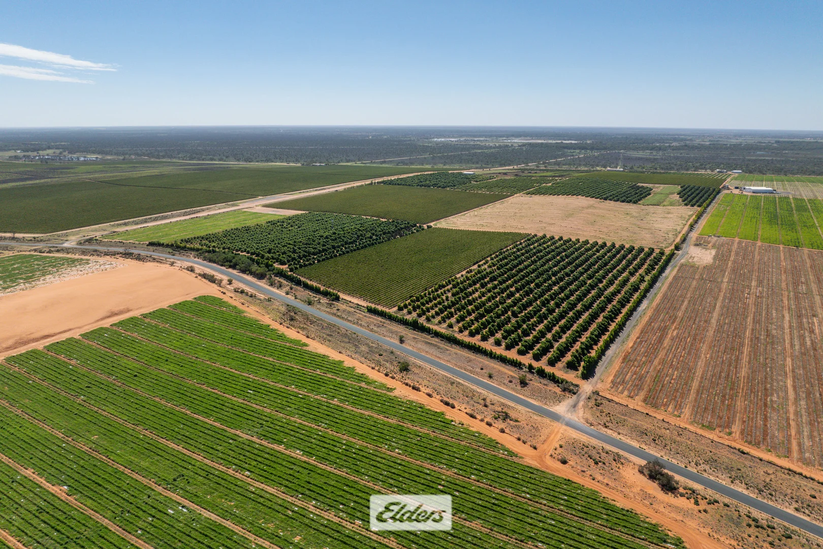 Additional image 47 of 135 Red Hill Road, Pomona NSW 2648