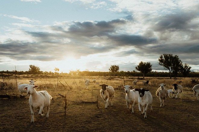 Picture of GREENUP QLD 4387