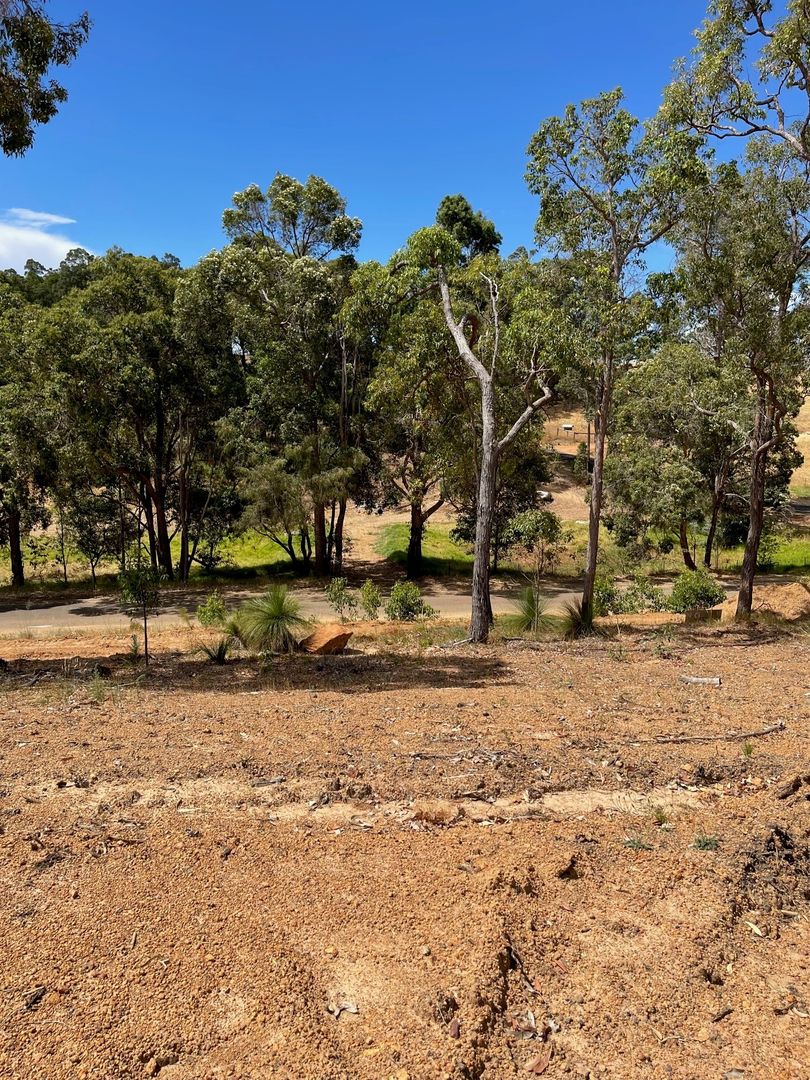 Proposed Lot 100 Struthers Street, Nannup WA 6275, Image 2