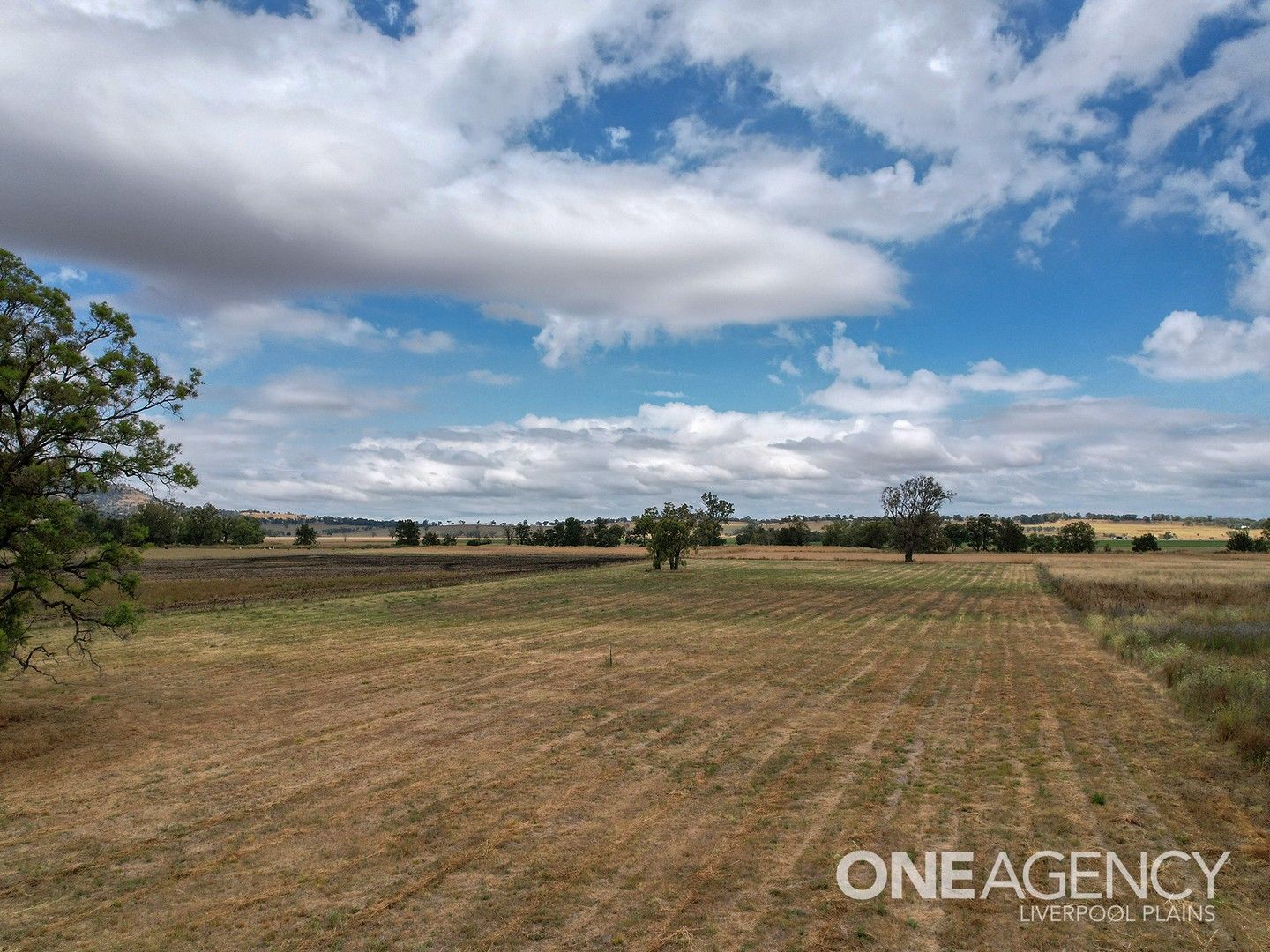 10, 435 Spains Lane, Quirindi NSW 2343 Vacant Land for Sale