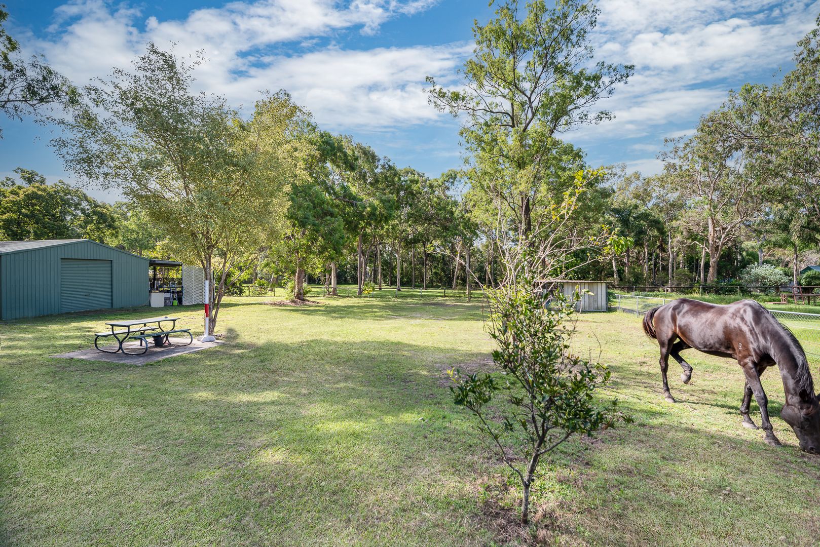 15 Wille Court, Ormeau QLD 4208, Image 2