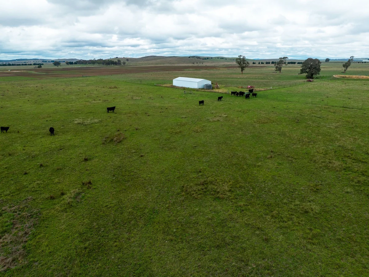 Primary image of 1706 Braidwood Road, Tarago NSW 2580