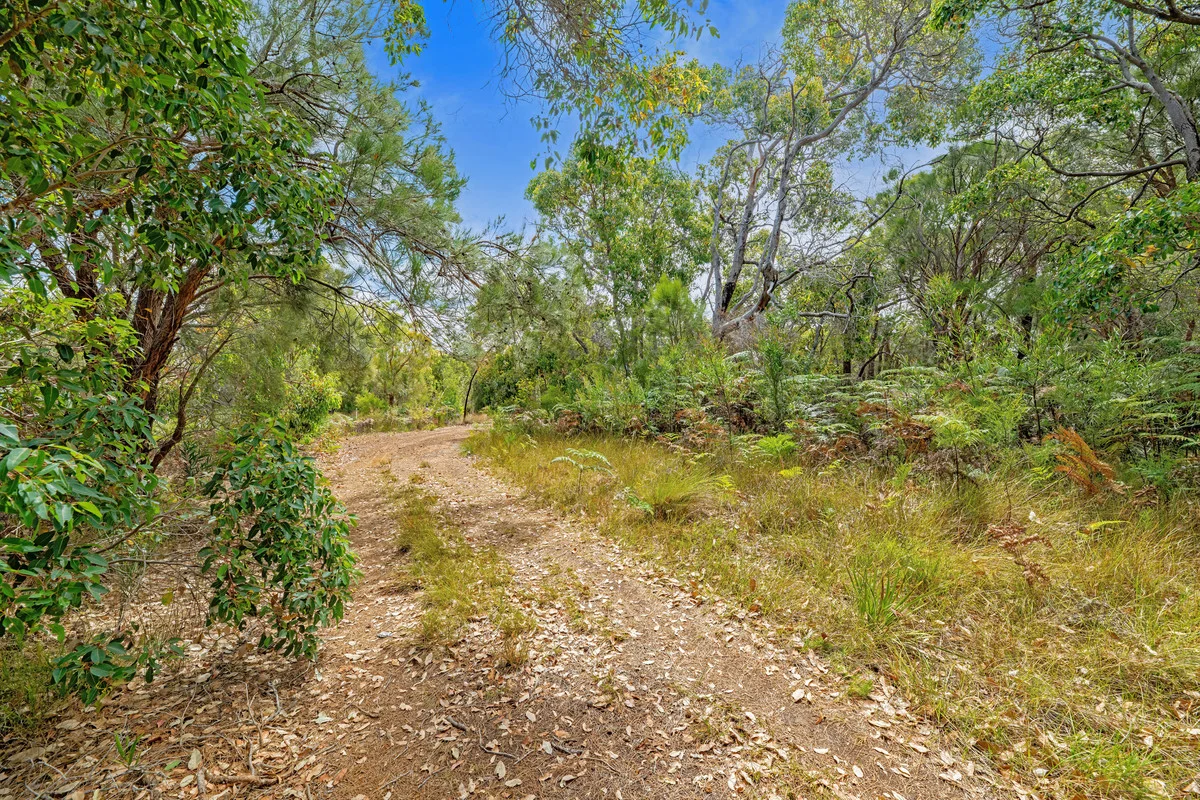 Image 11