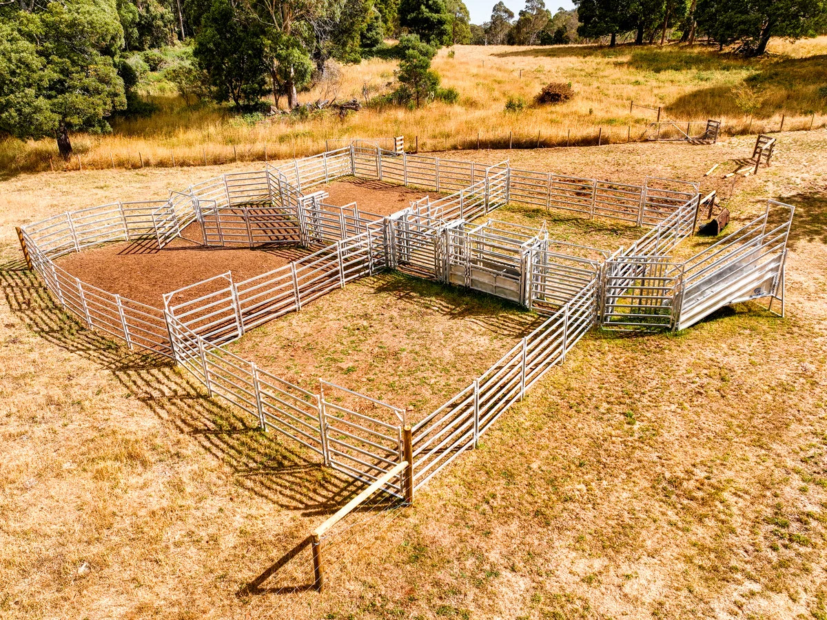 Additional image 12 of 110 Trickett Road, Needles TAS 7304