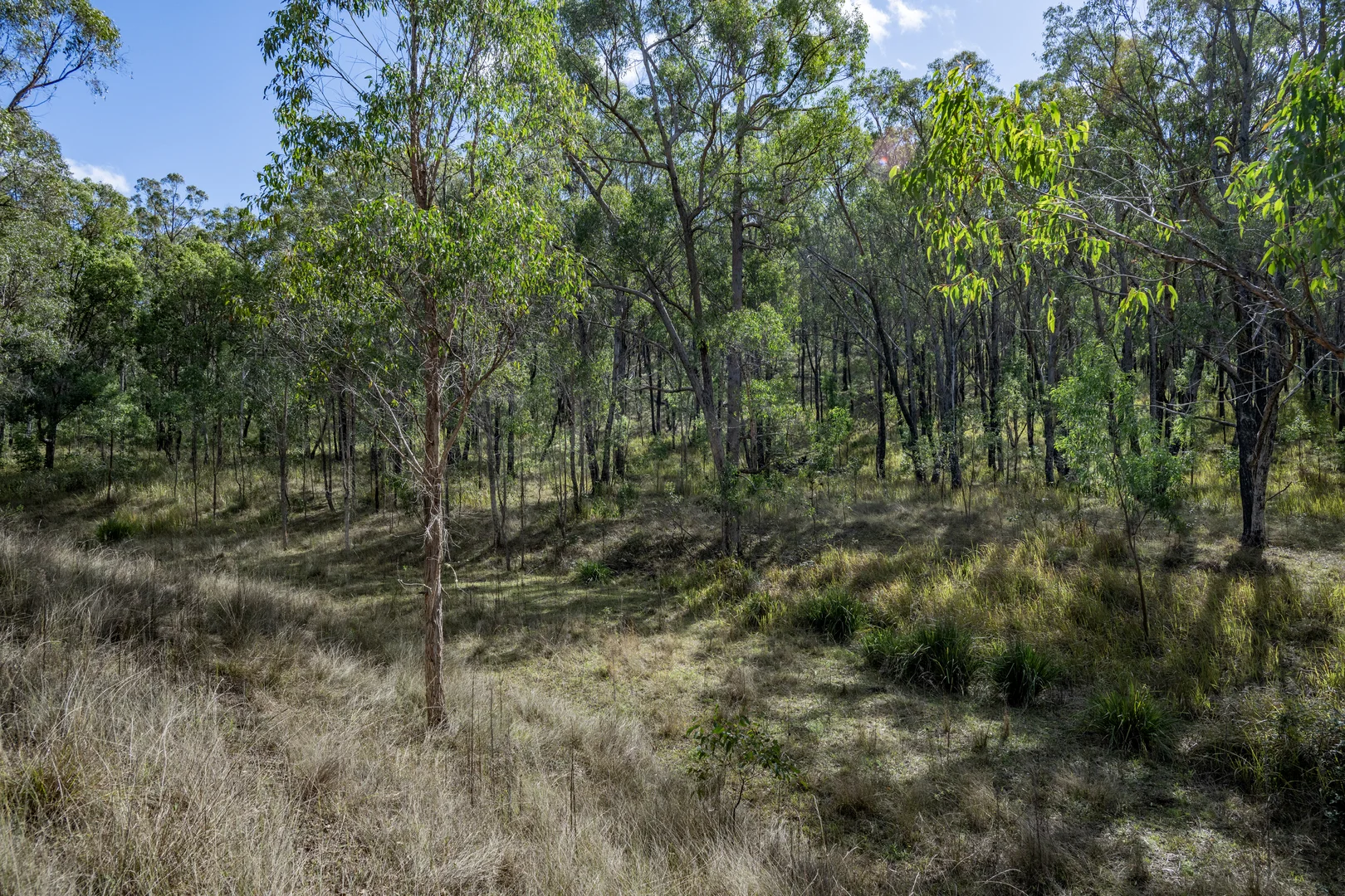 Image 14