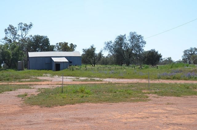 * The Woolshed, Hermidale NSW 2831, Image 2