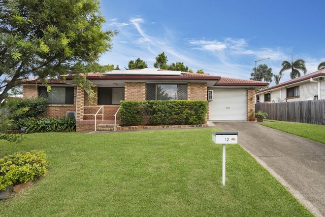 Picture of 12 Darnell Street, SUNNYBANK HILLS QLD 4109