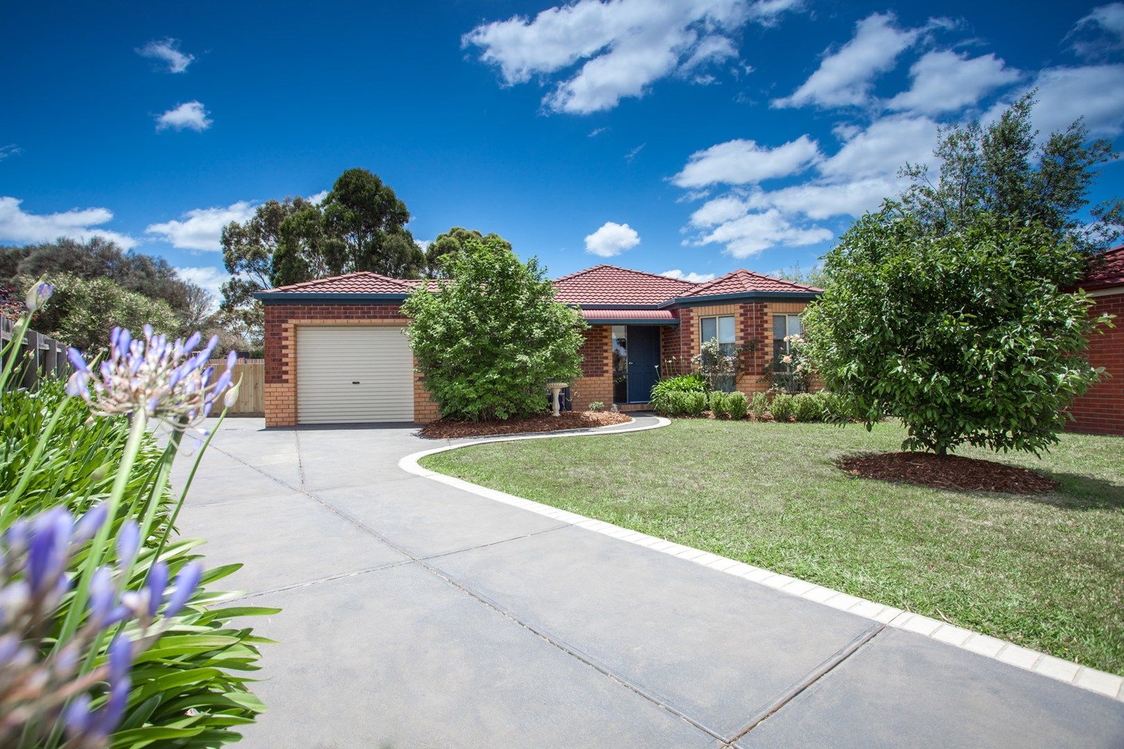 6 Candlebark Court, Riddells Creek VIC 3431, Image 0