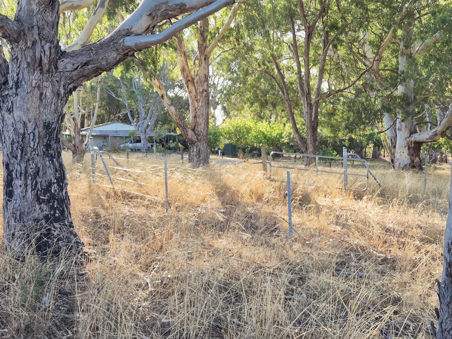 Additional image 30 of 17 Blackboy Court, Woodridge WA 6041