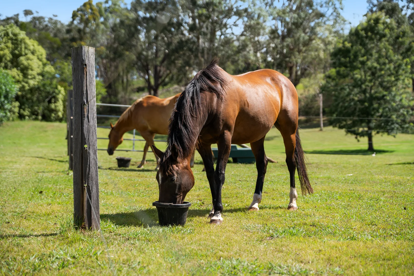 Additional image 19 of 205 Hampton Road, Hampton QLD 4352