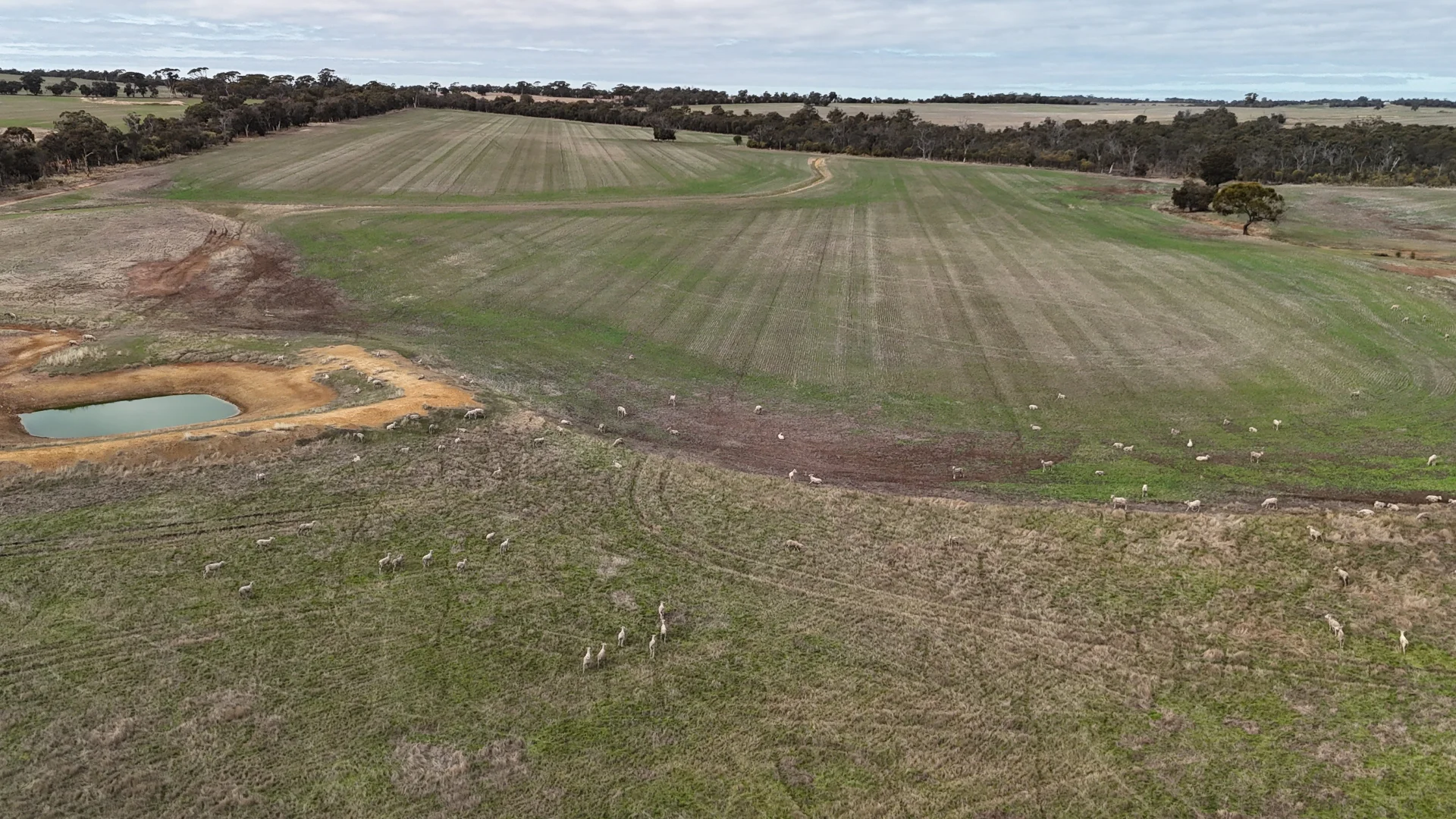 Image 14