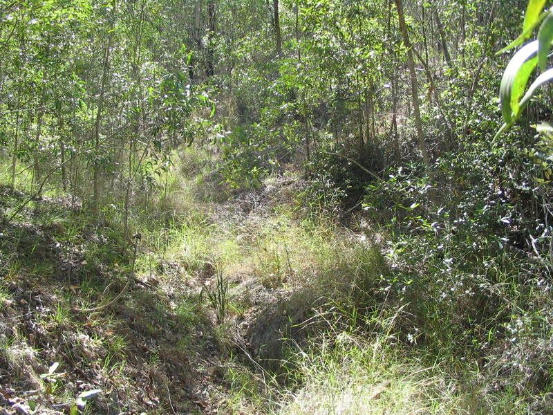 Lot 5 Doughboy Road, Doughboy QLD 4671, Image 2