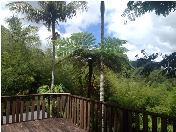 Lot 1 Huonbrook Road, Huonbrook NSW 2482