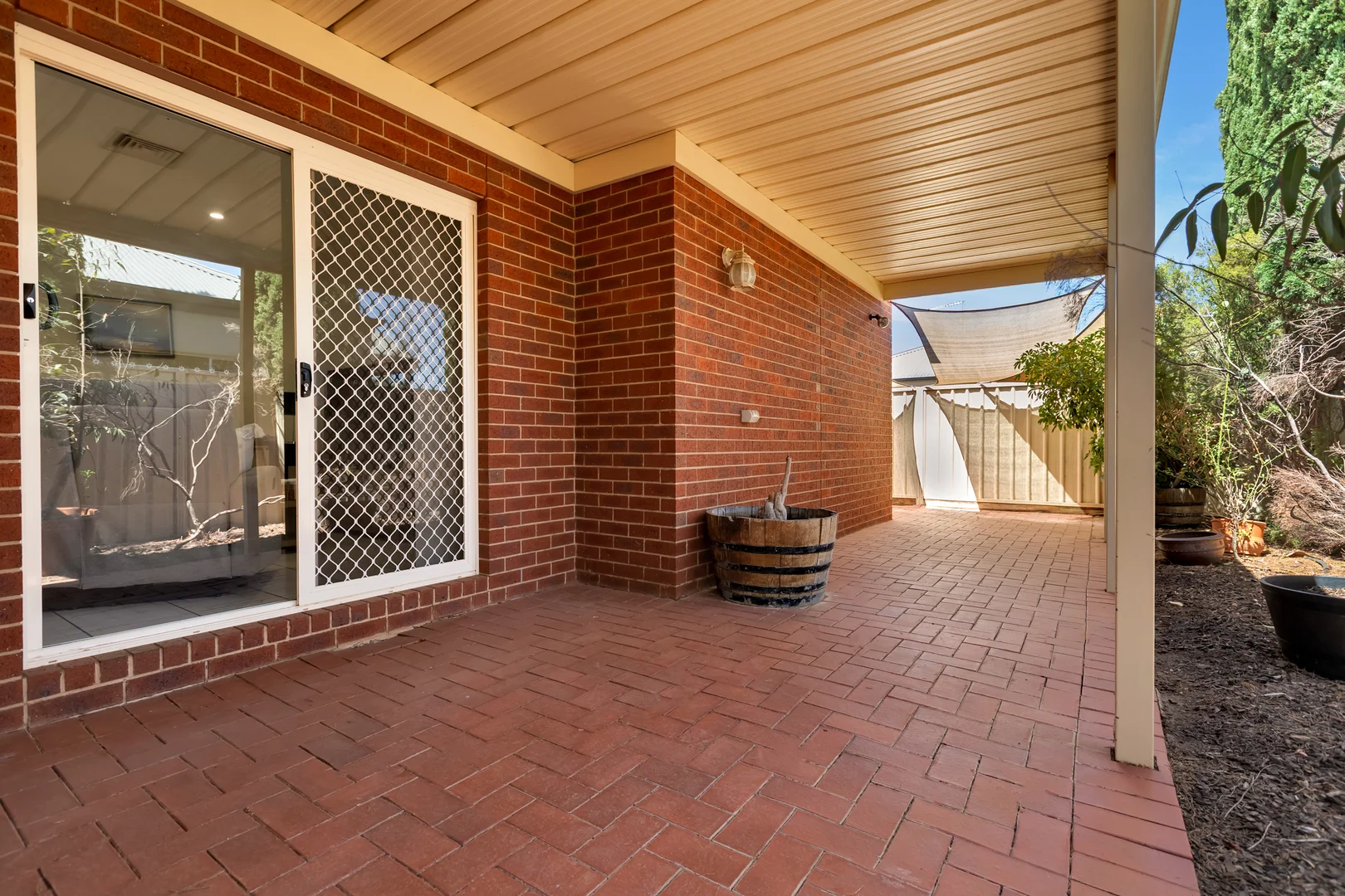 Image 15