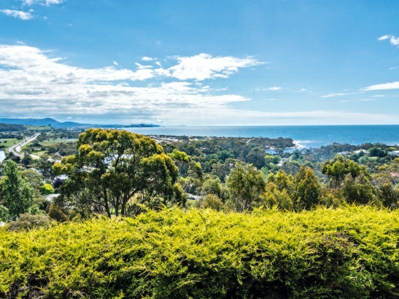 38 Braddons Lookout Road, Leith TAS 7315, Image 1