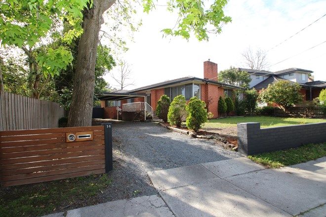 45 3 Bedroom Houses For Rent In Bayswater North Vic 3153 Domain