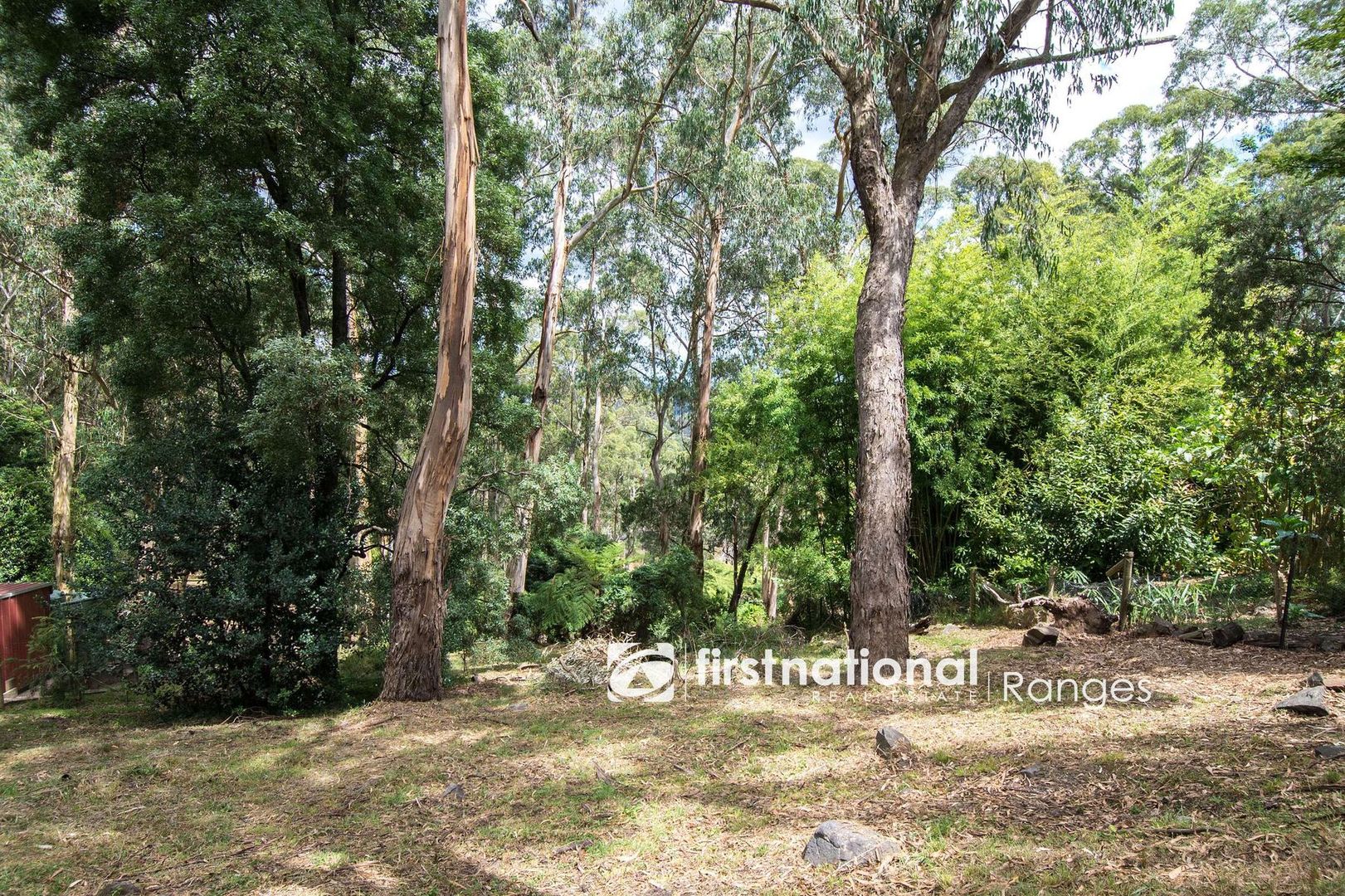 50 Menzies Road, Menzies Creek VIC 3159, Image 1