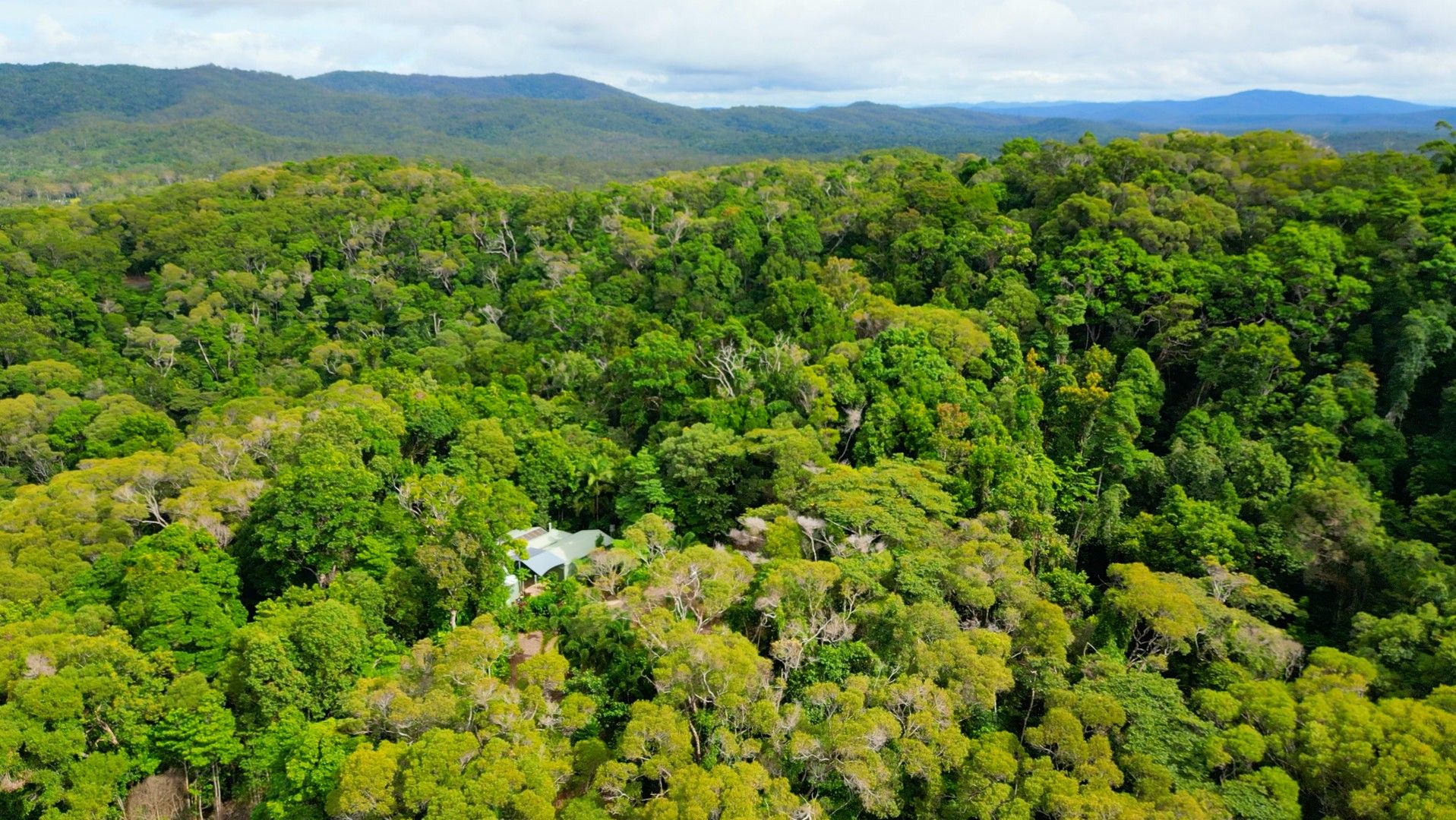 133 Mount Haren Road, Kuranda QLD 4881 Vacant Land for Sale