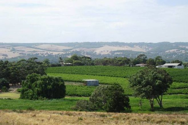 Picture of LOT 50 Pethick Road, MCLAREN VALE SA 5171