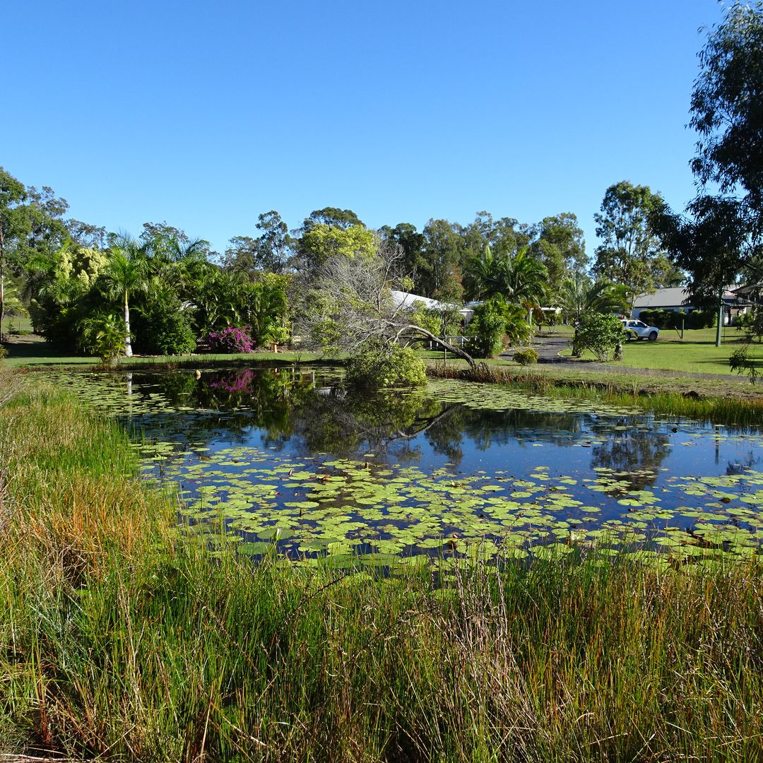 131 SUNNYBRAE CIRCUIT, Redridge QLD 4660, Image 1