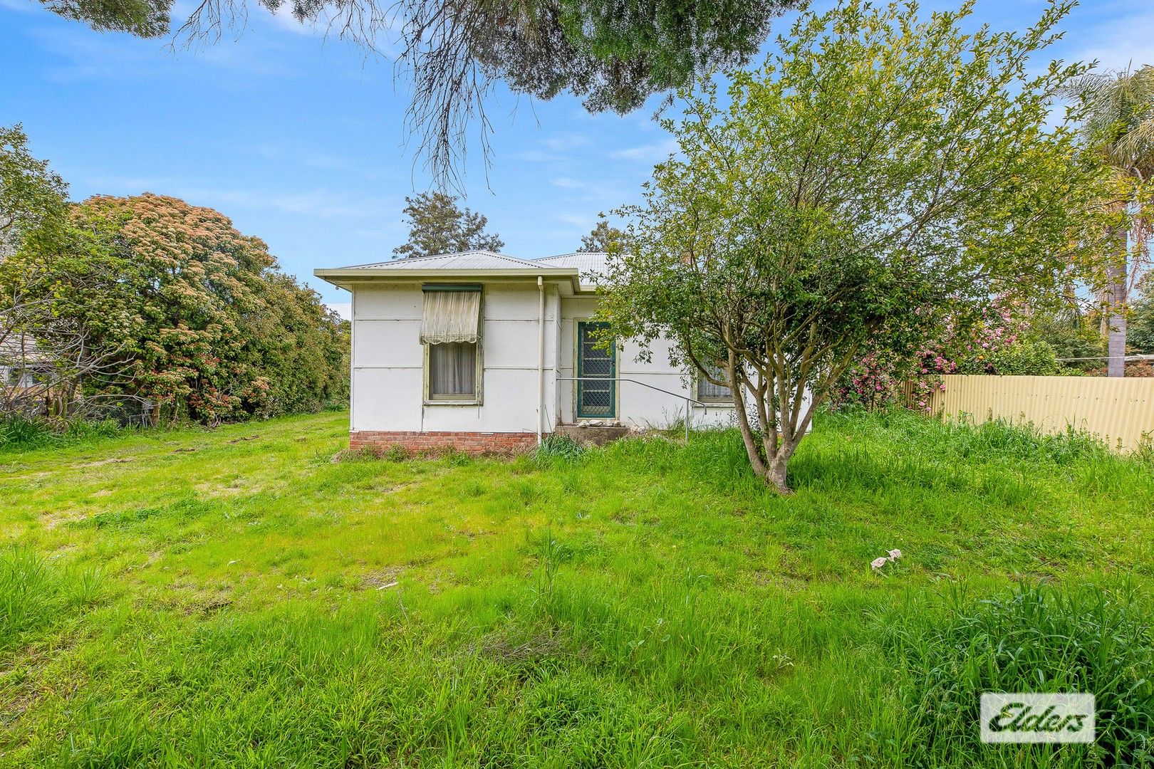 4 Mitchell Street, Ebden VIC 3691, Image 1