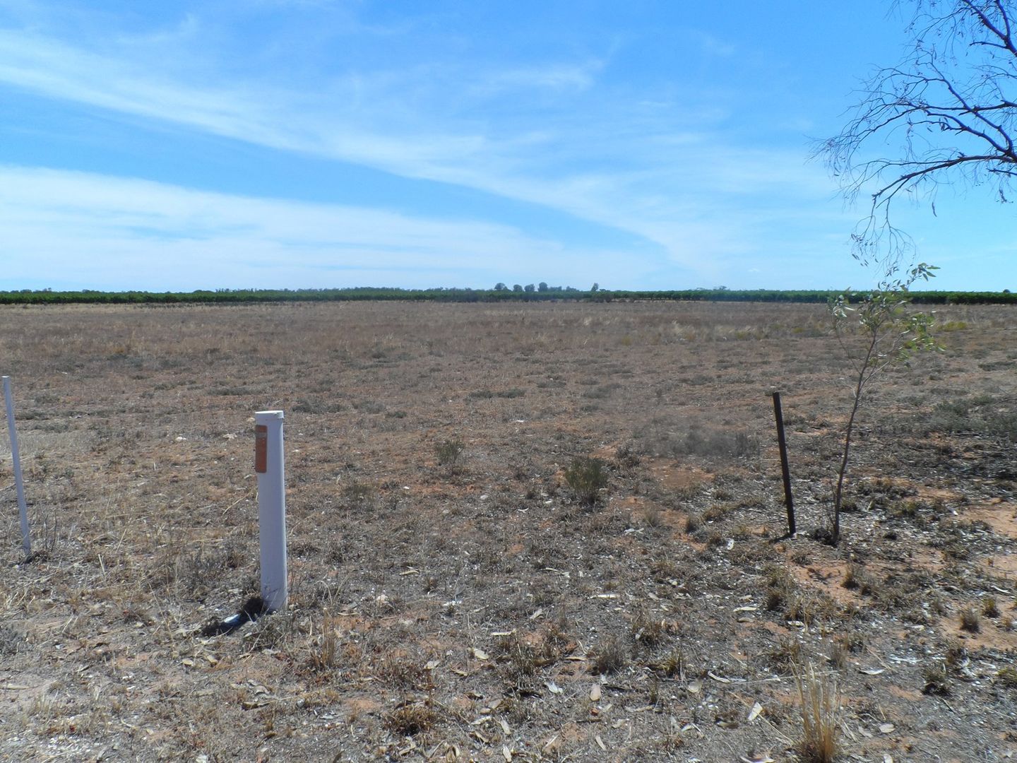 Sec 434 Anderson Road, Loxton North SA 5333, Image 1