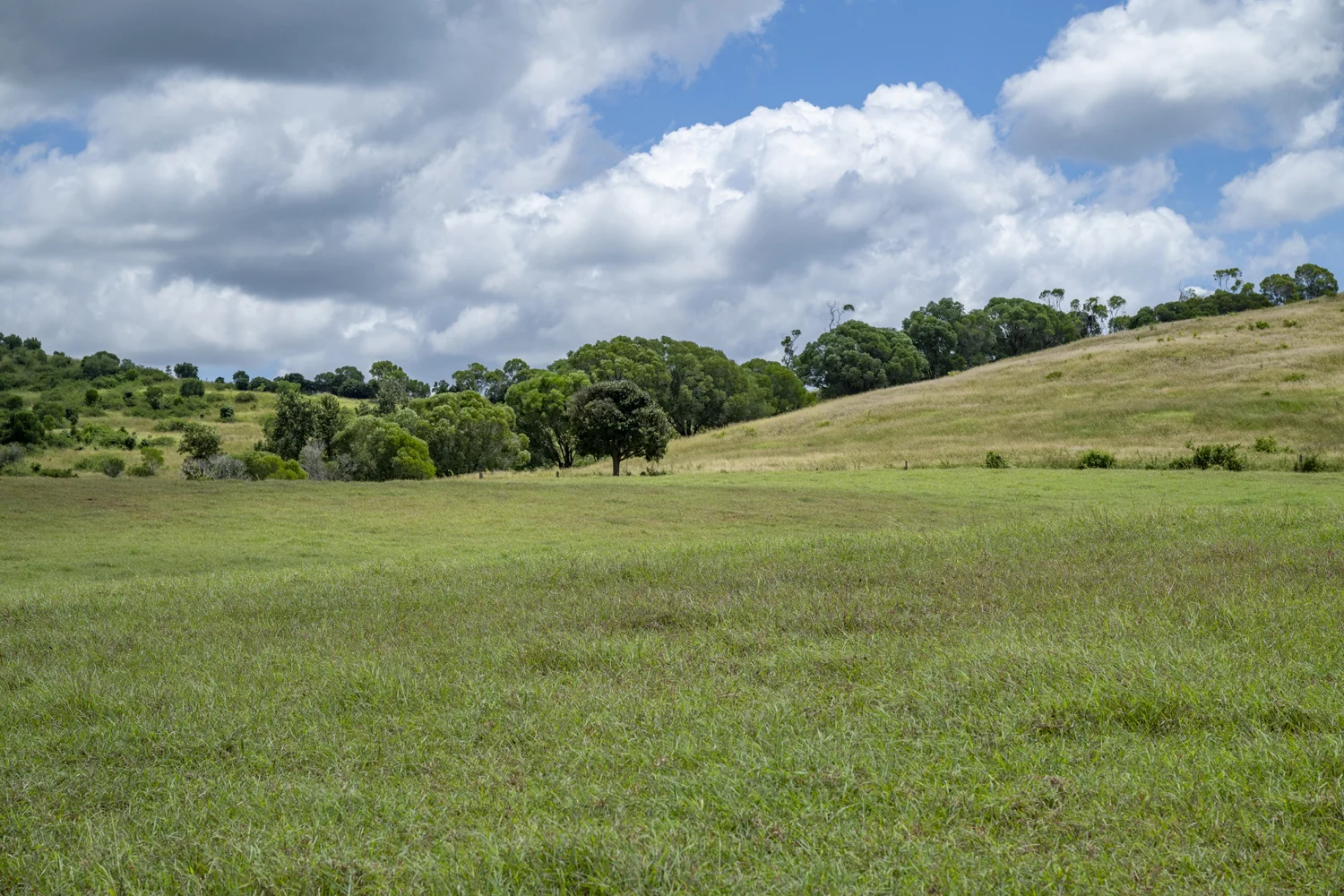 Image 29