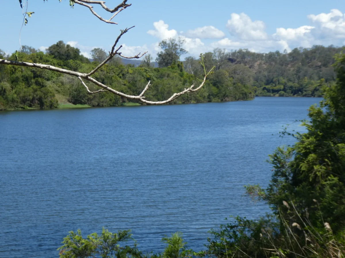 Image 8