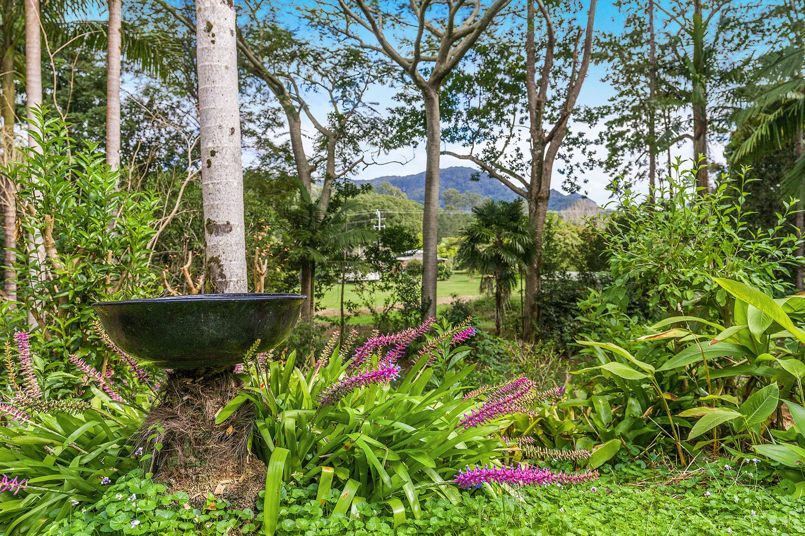 4, 46 Durrumbul Road, Mullumbimby NSW 2482 House for Sale Domain