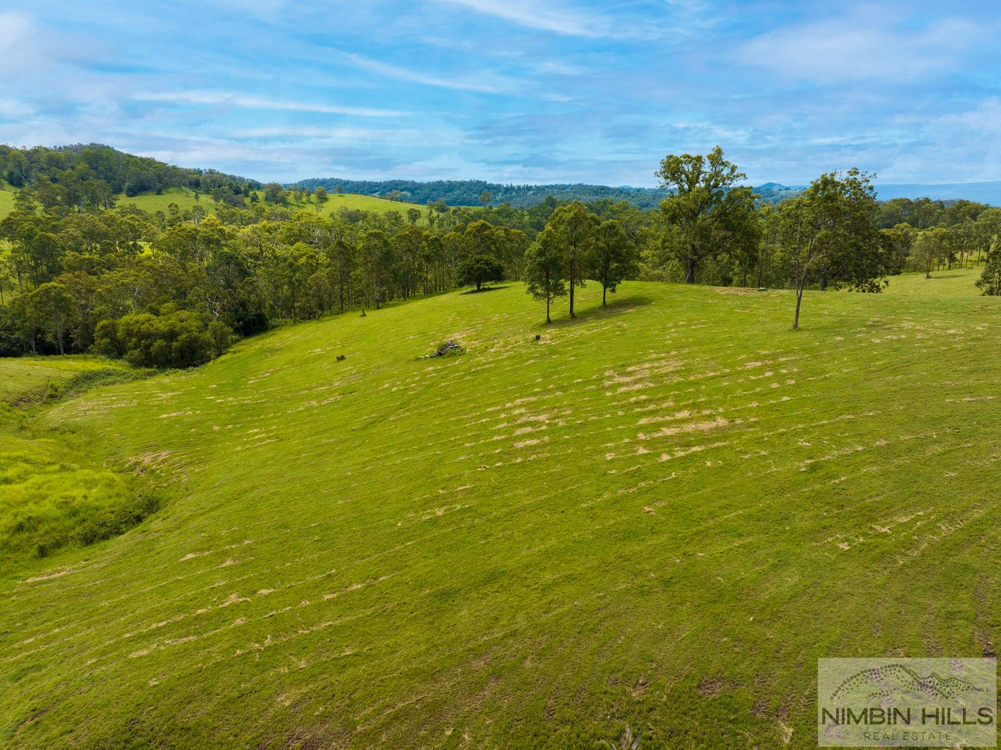 372 Ettrick Road, Kyogle NSW 2474, Image 1