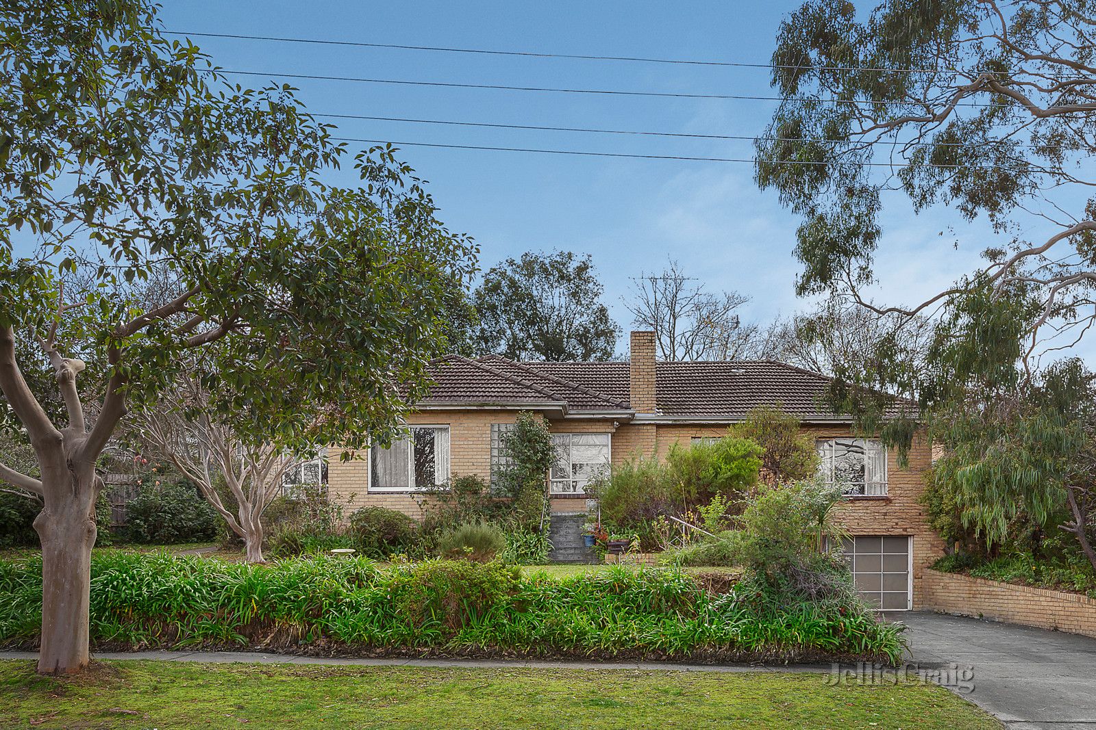 1 Tovey Street, Balwyn North VIC 3104, Image 1