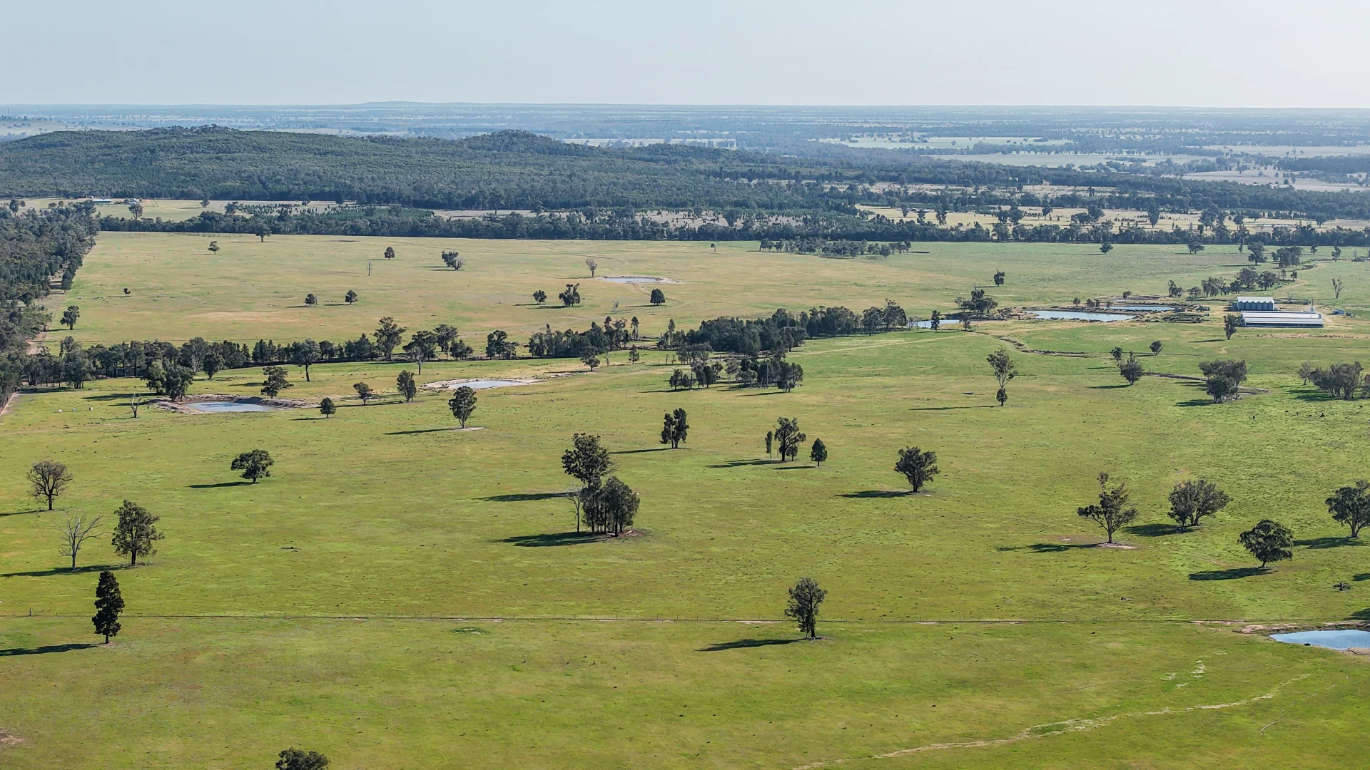 Additional image 13 of "Katella" 7878 Newell Highway, Tomingley NSW 2869