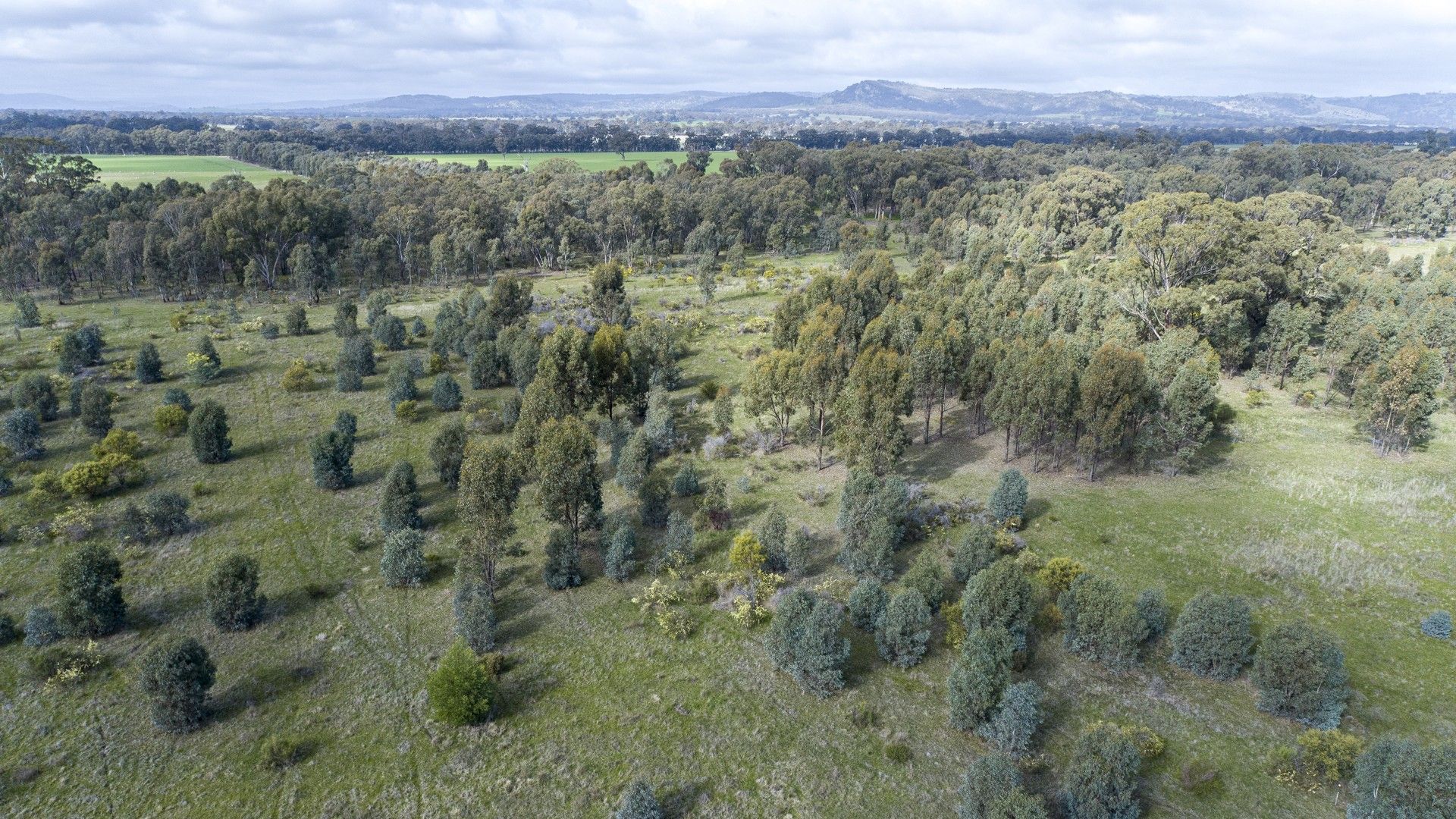 McRoberts Road, Locksley VIC 3665, Image 0