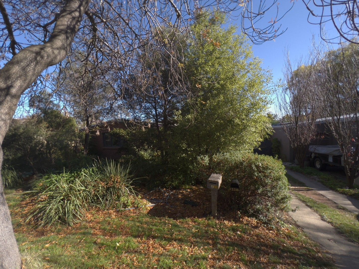 33 Raymond Street, Ainslie ACT 2602 House For Rent Domain