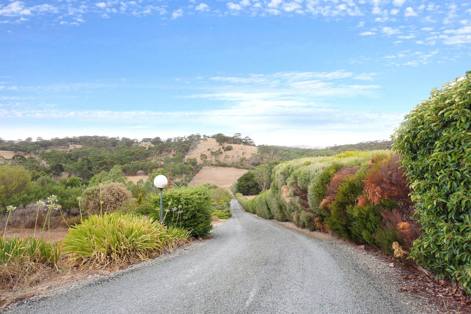 95 Horrocks Road, Penwortham SA 5453 Domain