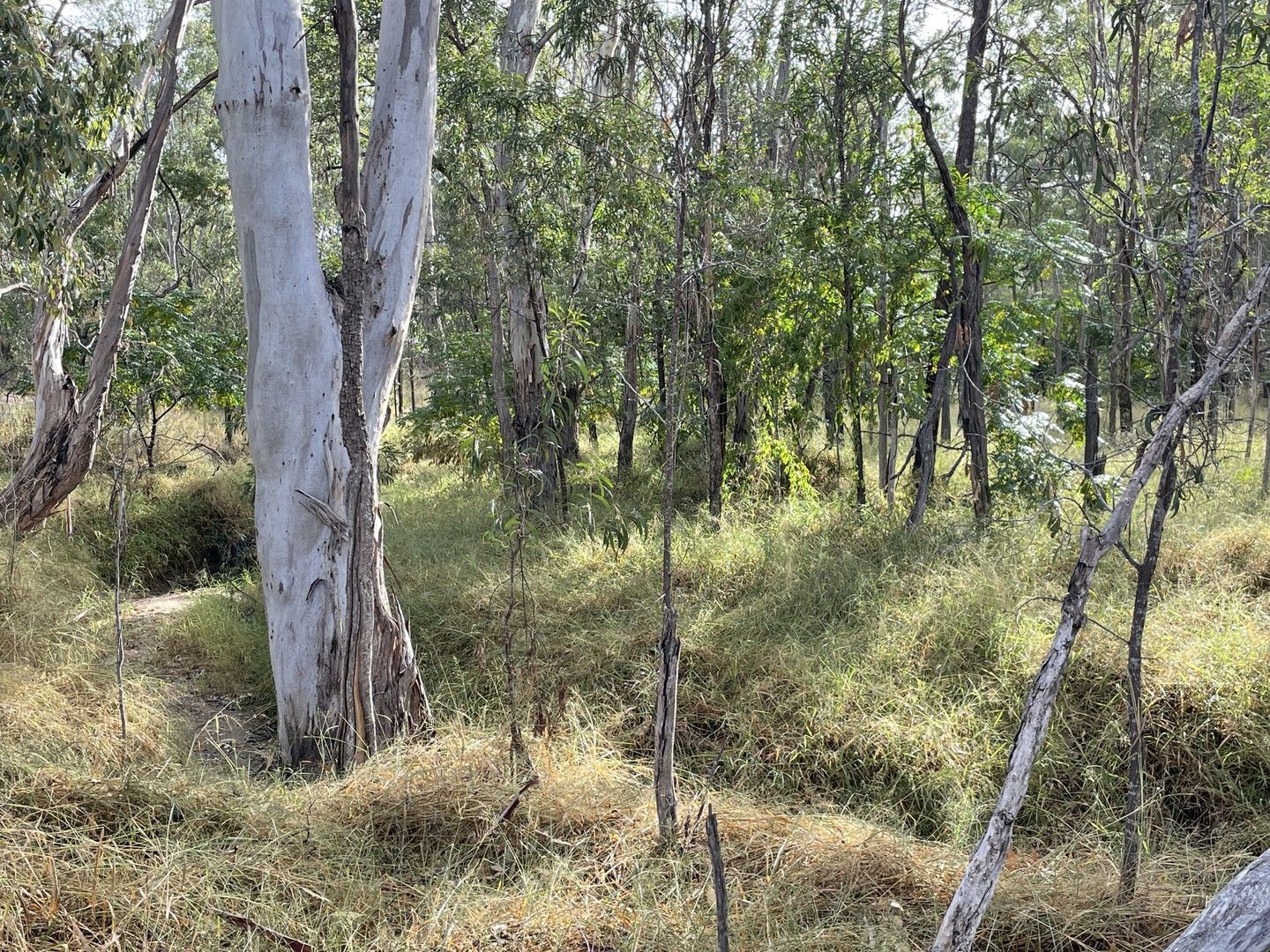 Vacant land in 0 Burnett Highway, EIDSVOLD QLD, 4627
