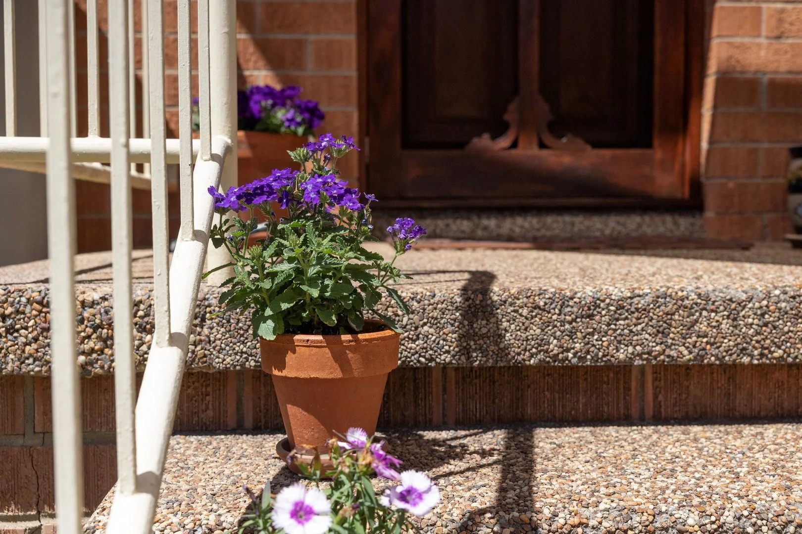 Additional image 23 of 1 Camm Street, Holder ACT 2611