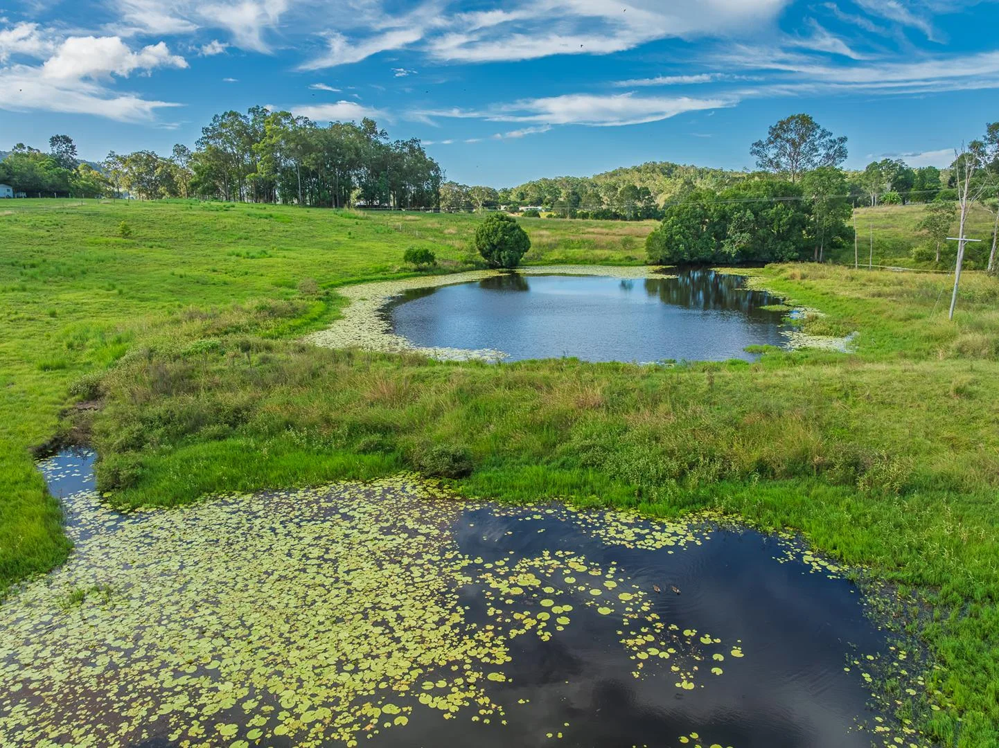 Additional image 63 of 40 McGinn Road, Gheerulla QLD 4574