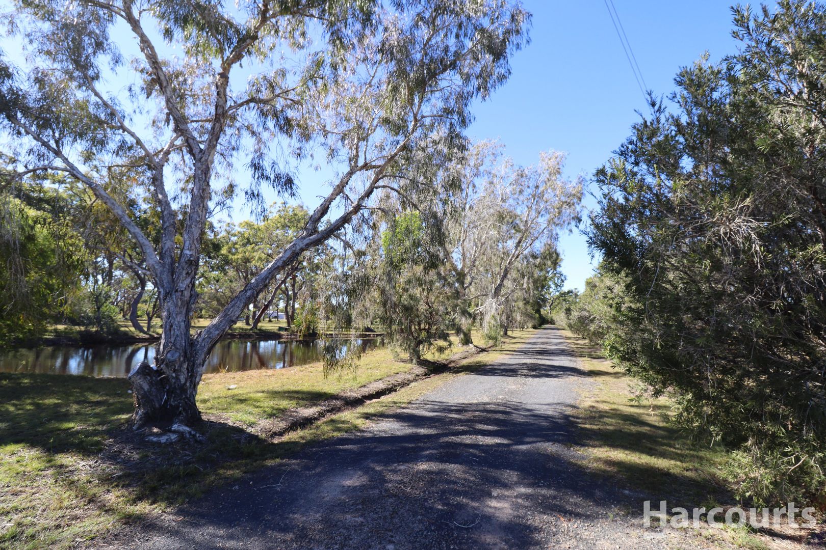 155 Pacific Haven Circuit Pacific Haven QLD 4659 Domain