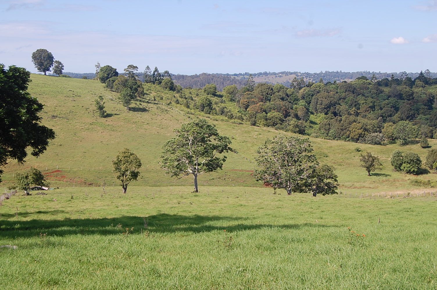 Lot 15 Koonorigan Road, Koonorigan NSW 2480, Image 2