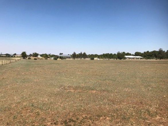 Manuka Road, Lake Albert NSW 2650, Image 1