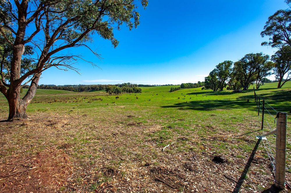 71 Wheeo Road, Grabben Gullen NSW 2583, Image 1