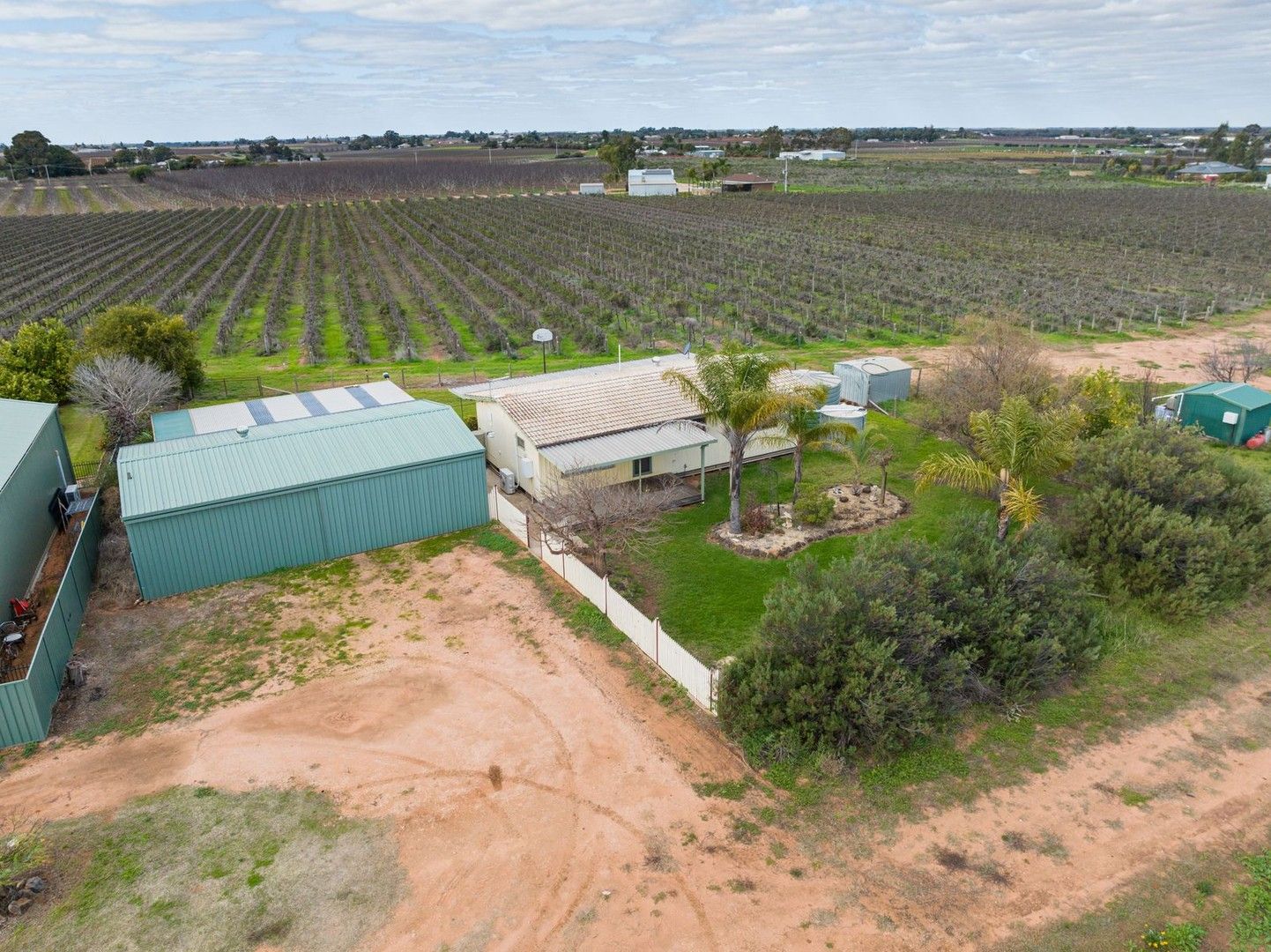 20D Snowy Avenue, Red Cliffs VIC 3496, Image 1