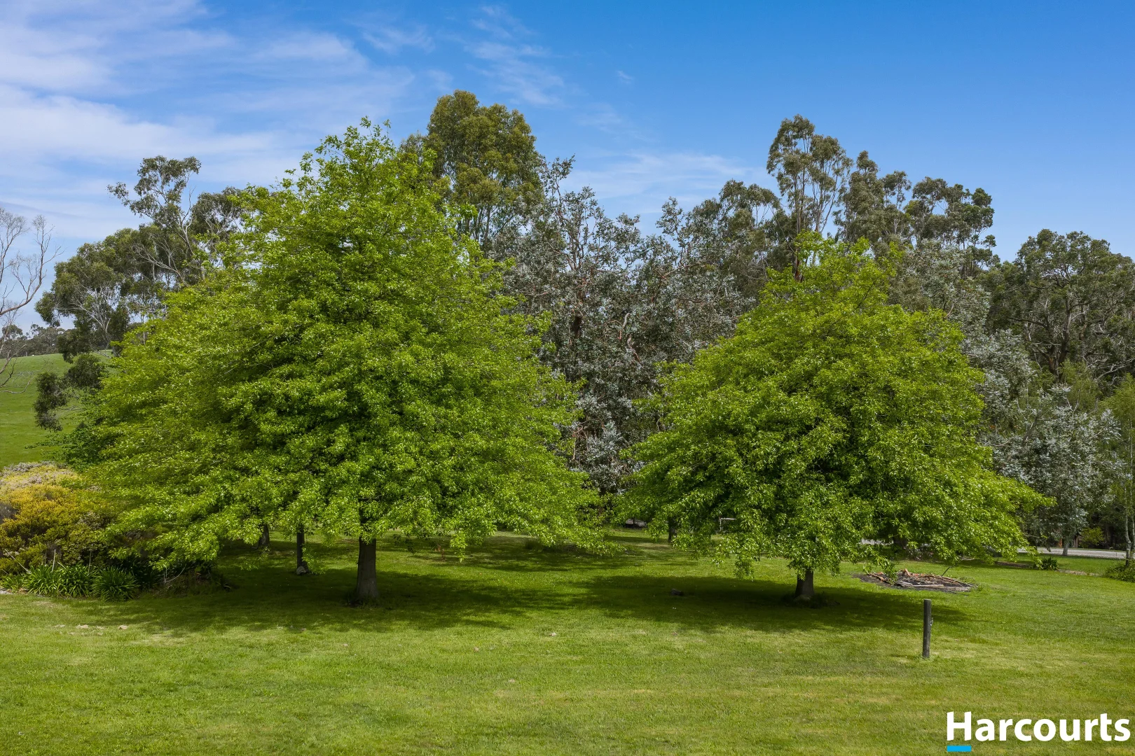 Image 25